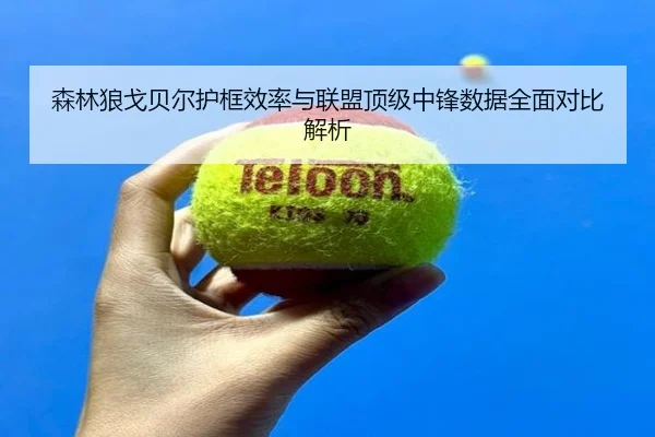 森林狼戈贝尔护框效率与联盟顶级中锋数据全面对比解析（kaiyun）